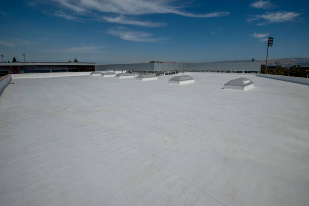 Best Asphalt Shingle Roofing  in Mount Morris, IL