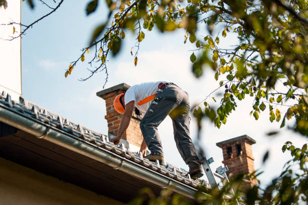 Cold Roofs in Mount Morris, IL