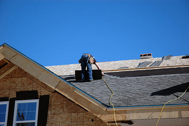 Best Roof Leak Repair  in Mount Morris, IL