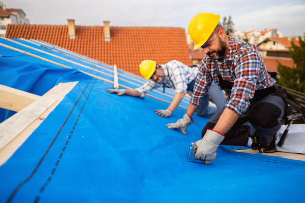 Best Chimney Flashing Repair  in Mount Morris, IL