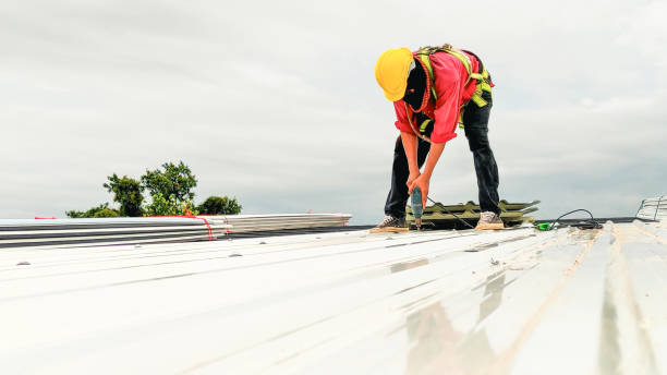 Best Flat Roofing  in Mount Morris, IL